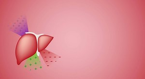 54K views · 48 reactions | Following these tips can keep your liver in good shape for years to come! | PhillyVoice | Facebook