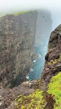 Faroe Islands: Europe’s Hidden Gem of Stunning Cliffs & Wildlife #travel