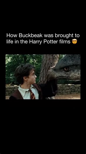 Bloopers on Instagram: "Buckbeak was created using a mix of practical effects, puppetry, and early CGI, making him one of the most complex creatures in the Harry Potter films. For close up interactions, the effects team built a full scale animatronic Buckbeak with detailed feathers, blinking eyes, and a moving beak, allowing actors to react naturally on set. A simple prop stand in was often used during riding scenes to give performers the correct posture and eye lines. For movement and flight, d
