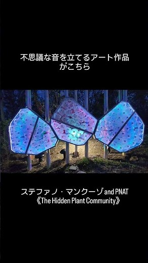 大阪・関西万博「静けさの森」二酸化炭素を吸う植物の気分になれるアート作品