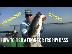 How to fish a frog for trophy Bass