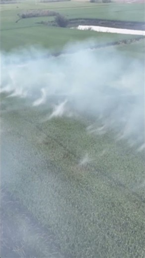 #fog #Cold Fogger#Cold Fog Machine#Backpack Cold Fogger#Disinfection Cold Fogger
