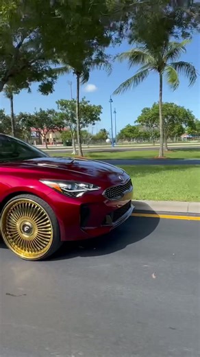 Candy Brandywine stinger on Gold 4’s Forgios