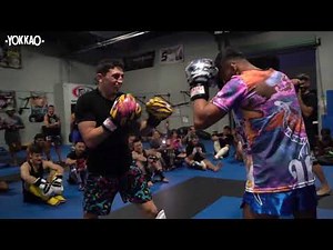 SPARRING time: MMA fighters (UFC) Vs Saenchai & Superlek | YOKKAO Muay Thai Seminar USA TOUR