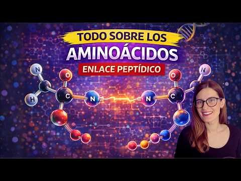 Amino acids and peptide bonds from ZERO and EASY!