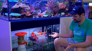 Red Sea ReefMat Review - The Best Auto Filter Roll to Date | Reef Builders | The Reef and Saltwater Aquarium Blog