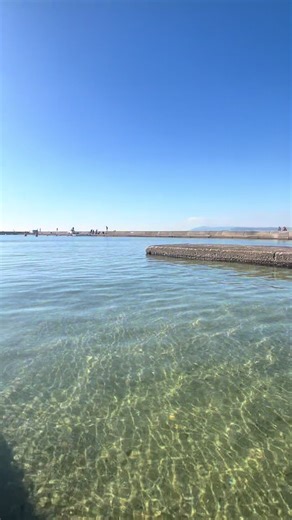 ーSaucy Dogの曲の意味ー いつか 「その思い出がいつか宝物になる」 シンデレラボーイ 「恋の不安や焦りを抱えながらも好きでいる」 結 「この関係に名前がなくても心で結びたい恋」 あぁ、もう。 「言いたいことがうまく言えなくても想いが溢れる」 紫苑 「痛みや苦しみで深い愛を見つける」 魔法が解けたら 「幻想がさめても愛が残る」 優しさに溢れた世界で 「誰かの優しさが生きる力になる」 現在を生きるのだ。 「後悔を捨てて今を大切にする」 この長い旅の中で 「人生という旅路の中で出会う愛」 馬鹿みたい。 「不器用でも必死で愛する」 スタンド・バイ・ミー 「いつもそばにいたい」 ノンフィクション 「ありのままの気持ちを大切にする」 シーグラス 「小さな思い出こそ宝物」 今更だって僕は言うかな 「遅くても想いは伝えたい」 コンタクトケース 「何気ない日常こそ愛を感じる瞬間」 魔法にかけられて 「恋に落ちると理屈じゃ動けない」 ...もう一度。 「再挑戦する恋」 スパイス 「刺激は日常に隠れてる」 BLUE 「静かな気持ちも愛になる」 君がいない 「いないことで気づく大切さ」 くせげ 「癖が