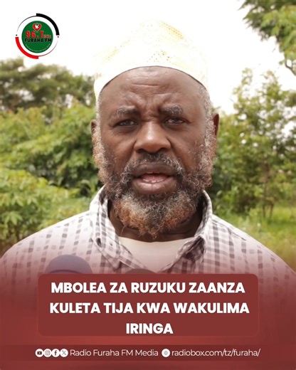 MBOLEA ZA RUZUKU ZAANZA KULETA TIJA KWA WAKULIMA IRINGA Baadhi ya wakulima katika mkoa wa Iringa wamesema kuwa mbolea za ruzuku zinazotolewa na Serikali zimeanza kuleta tija katika shughuli zao za kilimo, hali inayochangia kuimarika kwa uzalishaji na kipato chao. Wakizungumza na Radio Furaha, wakulima hao wamesema kuwa tofauti na miaka ya nyuma, upatikanaji wa mbolea kwa bei nafuu umewasaidia kupanua maeneo ya kilimo na kuongeza mavuno, hususan katika mazao ya mahindi na maharage ambayo hulimwa 