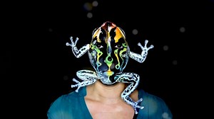 To license this content please click here: https://www.jukinmedia.com/licensing/view/1287750?utm_source=RMsocialpost&utm_medium=RMsocialpost | Jukin Copyright Management | Facebook