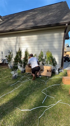 788K views · 17K reactions | I just ordered the trees… he’ll figure out the rest  #marriedlife #southerndad #projectmode | Southern Lawn Daddy | Facebook