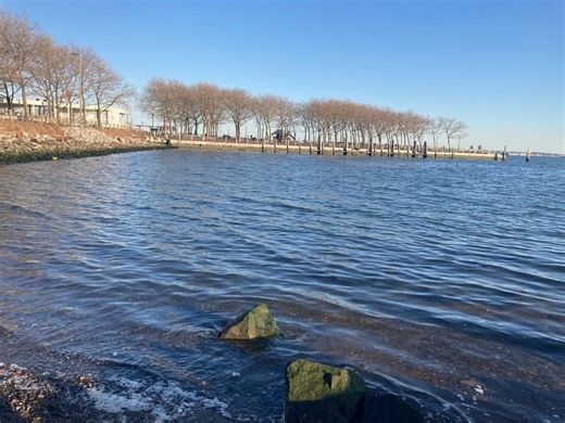 November Nature Programs At Liberty State Park