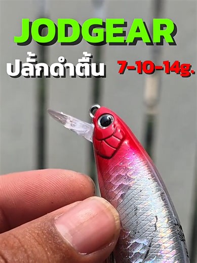 เหยื่อปลอมตกปลา George Gear ตีจิบชะโด