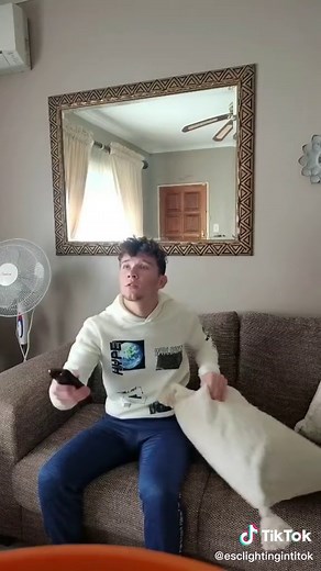 ESCLIGHTNG ceiling fan partner on TikTok