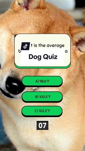 How much do you know about dogs? #dog #quiz #trivia
