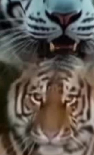 1.4K reactions · 501 shares | Arifin Afin on Reels | Facebook