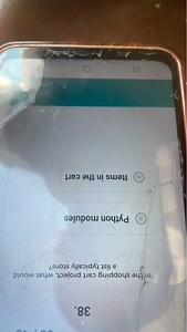 In the shopping cart project, what would a list typically store... | Filo