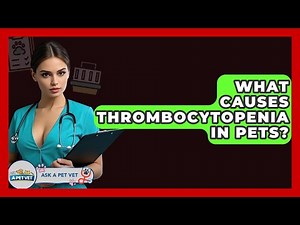 What Causes Thrombocytopenia In Pets? - Ask A Pet Vet
