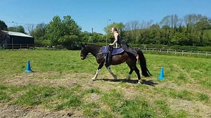 2.6K views · 177 reactions | It's been a day of firsts for Imie, here she is doing a canter freestyle on the wonderful Tinker FOR THE FIRST TIME EVER!! Go Pim! | Galloping Acrobatics | Facebook
