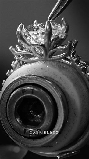 122 reactions · 5 comments | Step into our Lotus Collection, where...