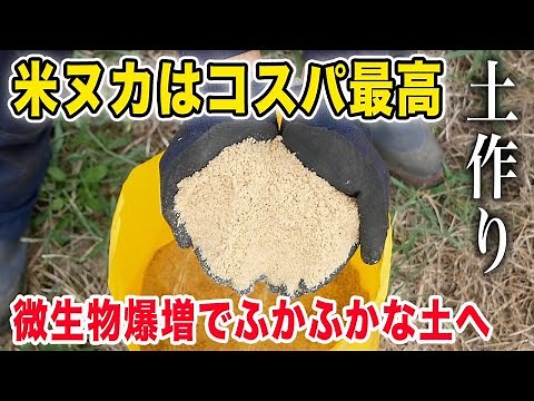 米ヌカを使った土作り 特徴と注意点