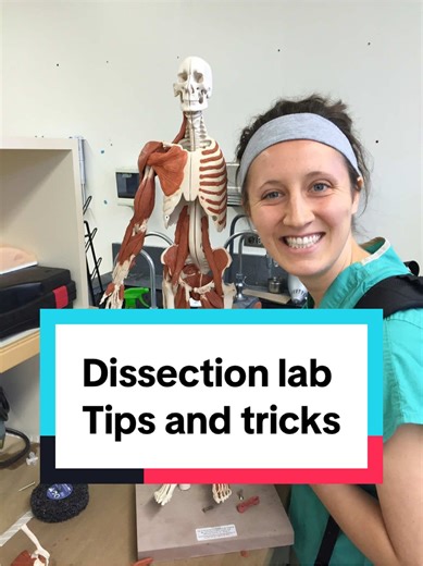 Dissection is a different (and amazing) part of learning. If you are struggling in your lab course you might be trying to identify structures too early, which is making the learning process harder. Trying to identify things before you have properly dissected them means you don’t have all the clues. It’s like trying to solve a puzzle with a bunch of missing pieces…you don’t have to do it that way, it’s much MUCH harder that way. I know you don’t have any time any more, and I know this is a trust 