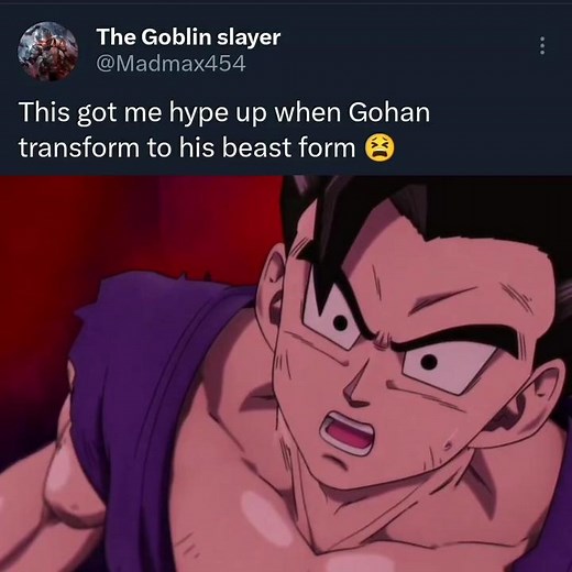 Takiyomi Gohan: The Beast Transformation in Dragon Ball Super
