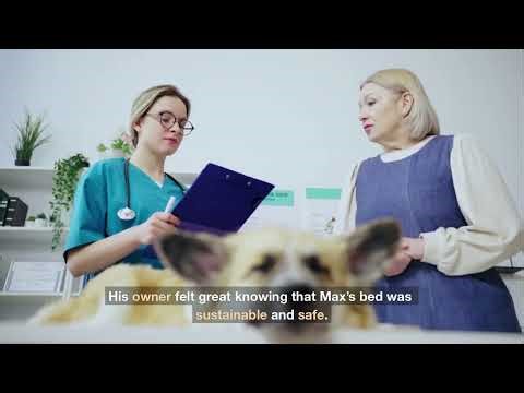 Sustainable Cat Litter Brands — Exploring Eco-Friendly Practices Compared