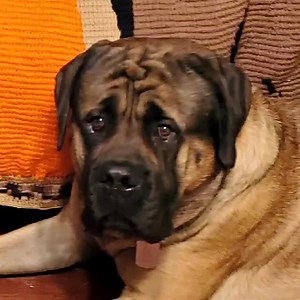 I thought it was a test... | Hogan's Adventures