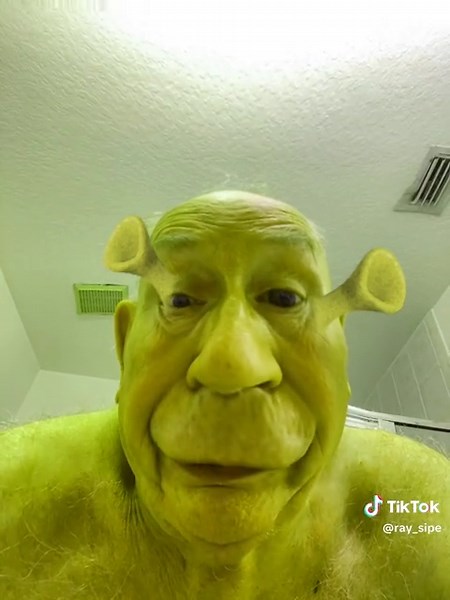 Shrek. And in the morning I’m making waffles. I’d love your waffles. They give me the size to be a big ogre.