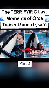 Sad news 😢 The TERRIFYING Last Moments of Orca Trainer Marina Lysaro. | momentman 99