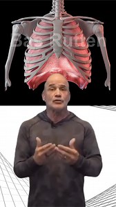 4.1K views · 53 reactions | Technique, power, endurance—it all starts here.  The O2Trainer conditions your core and breathing muscles to handle the demands of intense training, helping you go harder and perform better. ️‍♂️ Train with purpose, breathe with power. www.o2Trainer.com | Bas Rutten O2 Trainer | Facebook