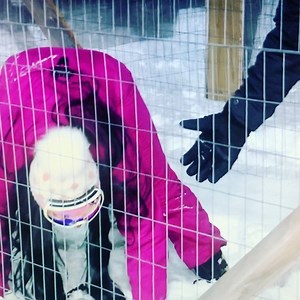 1.8K views · 95 reactions | PUT THE AXE 望 DOWN #bloopers  FROM #Gaylord #puremichigan ... I fell and couldn’t get up .... @ryanermannifox2 was my knight in shining armor ... KINDA  ... LISTEN CLOSELY | Maurielle Lue FOX 2 Detroit | Facebook