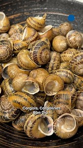 Carte blanche à Pedro Gil ! Le président du Team Cargols nous présente une recette d'escargots pas comme les autres ! 👨‍🍳 Pour l'occasion, il a fait appel au talentueux chef Florent Pasteur du Catalogue Café à Perpignan. Découvrez sa création originale : Escargots, boudin, petits pois et cébette... une explosion de saveurs inattendue mais délicieuse ! 🤤 #recette #escargot #cargols #boudin #perpignan #cébette | L'Indépendant Perpignan