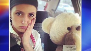 Teddy bear gets woman traffic ticket