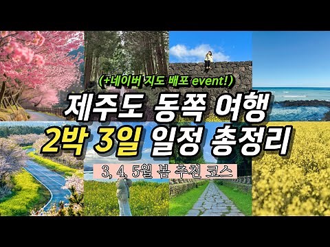 따라만 해도 성공하는 제주도 2박 3일 동쪽 여행 코스🍊 제주 3월 4월 5월 봄 여행 동부 일정 추천 | 🌼유채꽃 벚꽃 명소 포함 핫플 포토존 총정리🌸