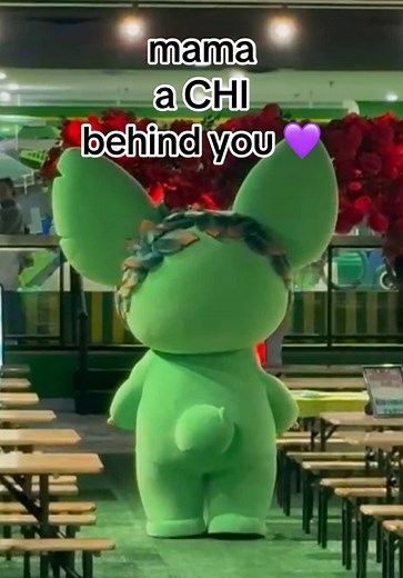 Exploring Amazing Fun Park in Mississauga, Ontario