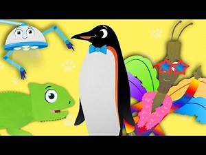 Animal Learning Songs for Toddlers | Dr Poppy's Pet Rescue