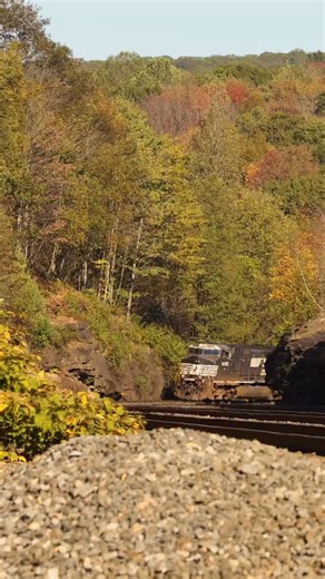 A westbound intermodal climbs the grade into Gallitzin, PA in the afternoon heat on the NS Pittsburgh Line. #railroad #railway #train #rail #reels #video #fall #sun #color #locomotive | Craig Hensley Photography