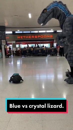 Epic Battle: Blue vs Crystal Lizard