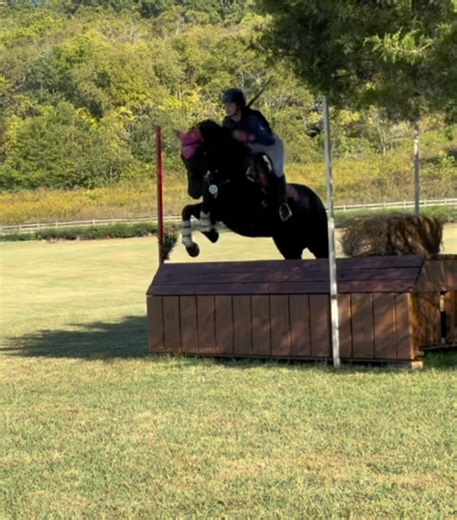 Dressage Competition Success at MTPCHT