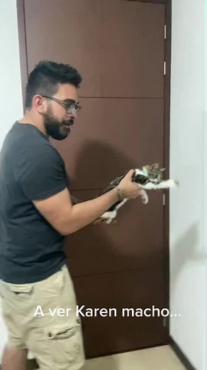 Videos de Cheetos Paws - África & Luna (@cheetospaws_) con “Monkeys Spinning Monkeys - Kevin MacLeod & Kevin The Monkey”