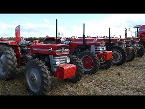 Massey Ferguson 148, 178, 188 & 1080 4WD Special Tractor out working in the field | DK Agriculture