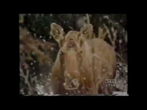 KCTS (PBS) "Alone in the Wilderness" Promo 2004