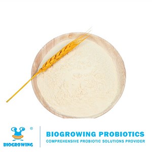 [Hot Item] High Stability 100 Billion Cfu/G Freeze-Dried Probiotic Powder Lactobacillus Delbrueckii Subsp. Lactis
