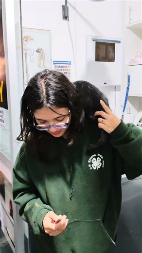 Este gatito parece murciélago