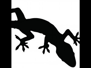 Operating Systems (W02): SHA256SUM (1)