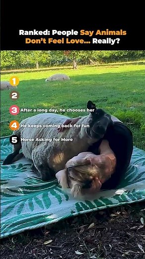 Ranked- People Say Animals Don’t Feel Love… Really!