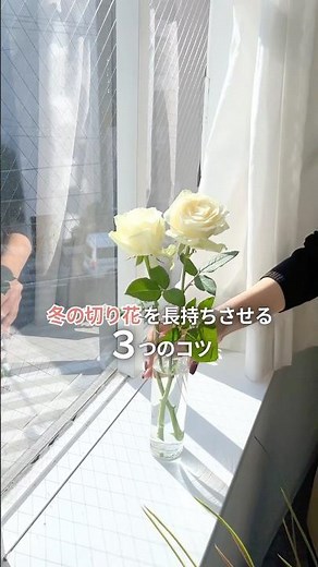 冬こそ気をつけて！切り花を長持ちさせる3つのコツ❄️ #冬のお手入れ #生花 #花のある暮らし