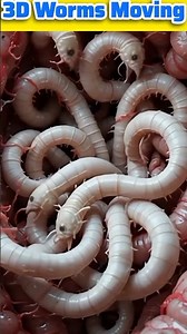 worms Moving in digestive System