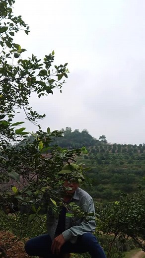 có ai chảy nước dãi khi xem tui ăn ko ta :)))